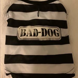 Pet Halloween costume